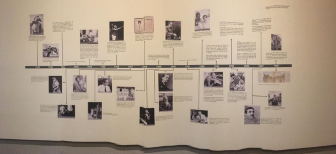 Moya festeja 85 años con exposición en Bellas Artes