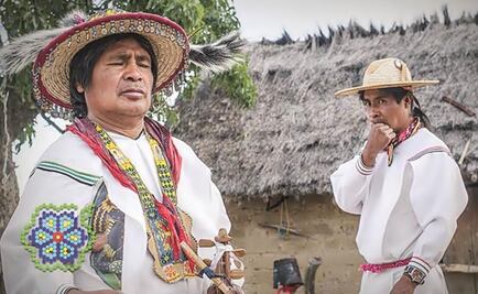 Mexican cinema 'on the cheap' triumphs in the world