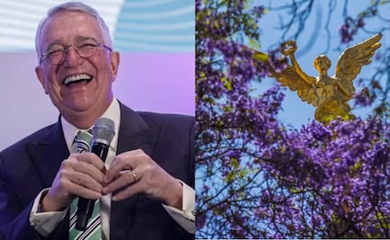 Salinas Pliego ofrece 50 mil pesos a quien capture "la mejor foto de jacarandas"; así puedes participar en su concurso