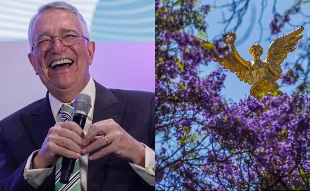 Salinas Pliego ofrece 50 mil pesos a quien capture "la mejor foto de jacarandas". Foto: Archivo / EL UNIVERSAL