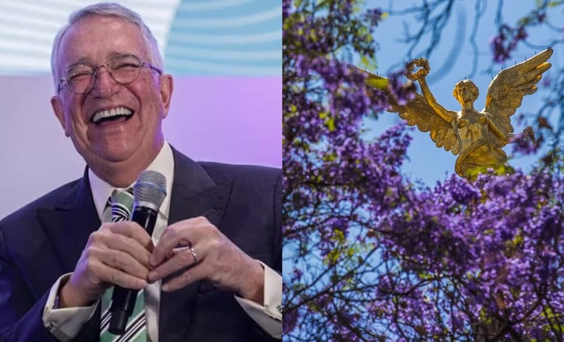 Salinas Pliego ofrece 50 mil pesos a quien capture "la mejor foto de jacarandas". Foto: Archivo / EL UNIVERSAL