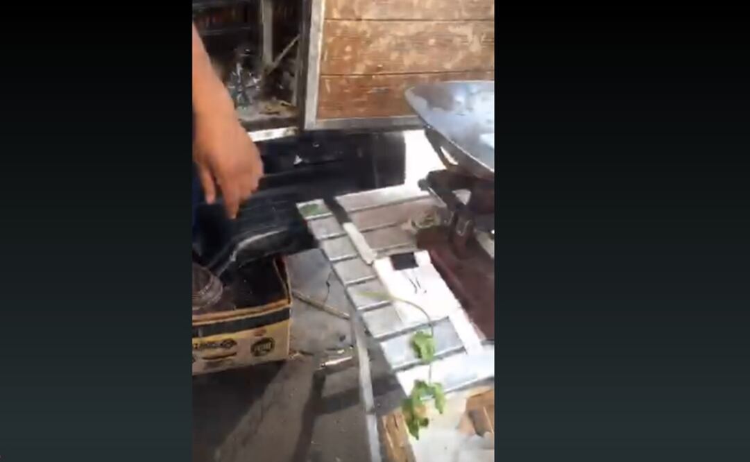 Captura de pantalla de la transmisión