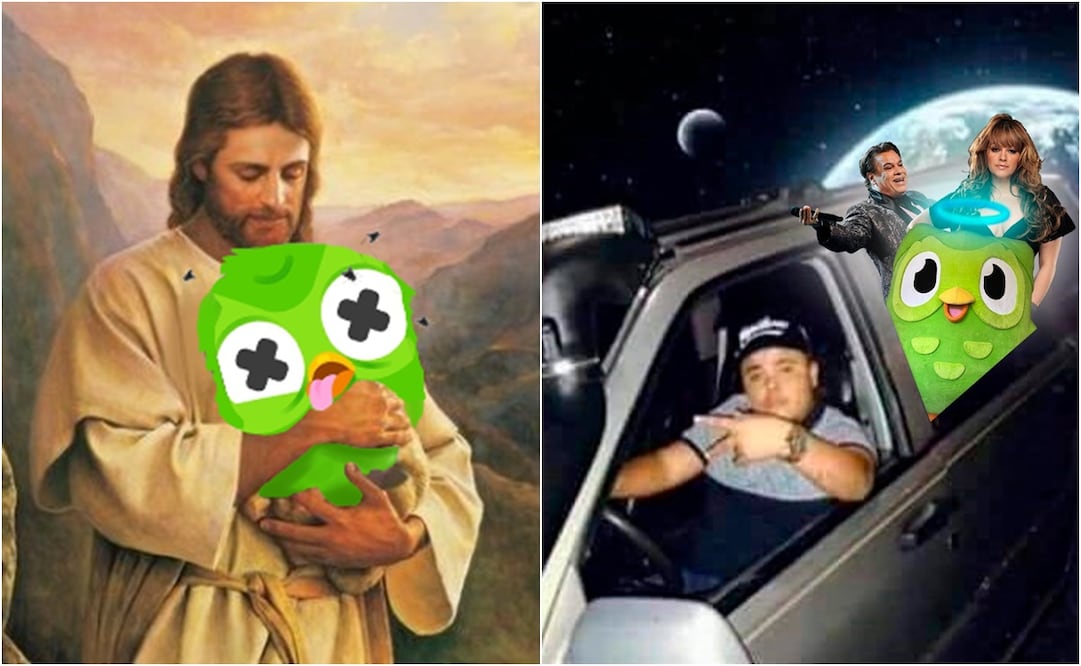 Despiden a mascota de Duolingo con los mejores memes. Foto: X