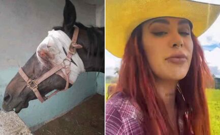 “No están dando ni un peso”: activista evidencia falta de apoyo de autoridades tras rescate de 17 caballos en Veracruz