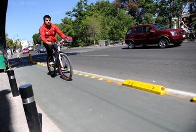 Por ciclovía, trasladarán y sustituirán árboles en Puebla