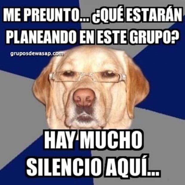 Los memes más divertidos en la historia de WhatsApp