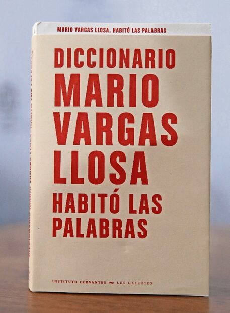 Foto: EFE/ Paolo Aguilar.