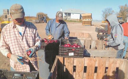 EU y México renuevan instrumentos de colaboración en materia laboral 