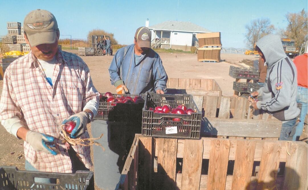 Los acuerdos se lograron durante la Semana de Derechos Laborales, realizada del 30 de agosto al 3 de septiembre de 2021. Foto: Archivo 