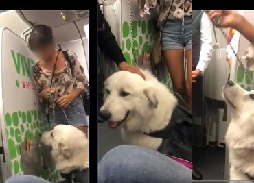 Viva Aerobus niega a pasajeros viajar con perro de soporte emocional