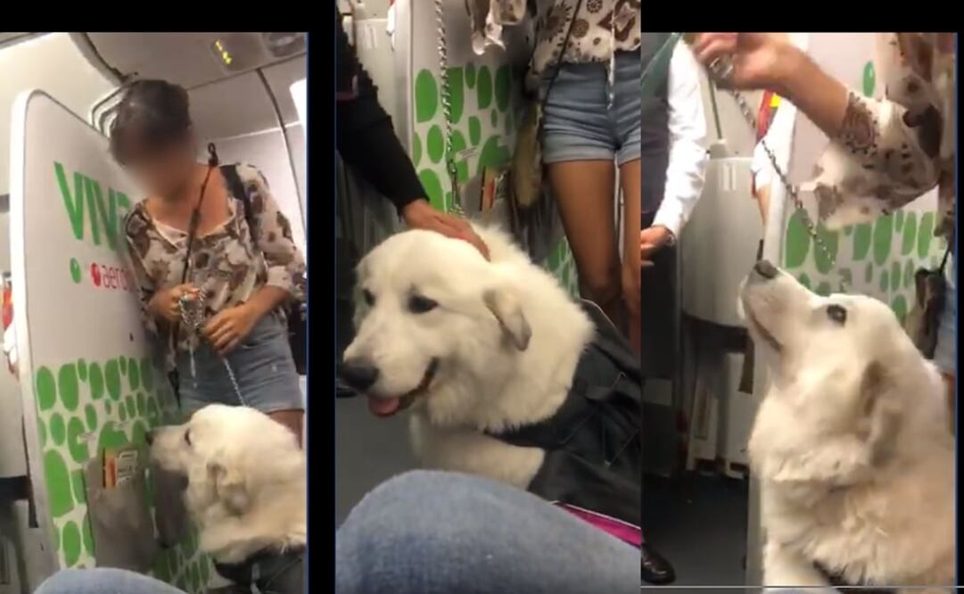 Foto: Captura de pantalla