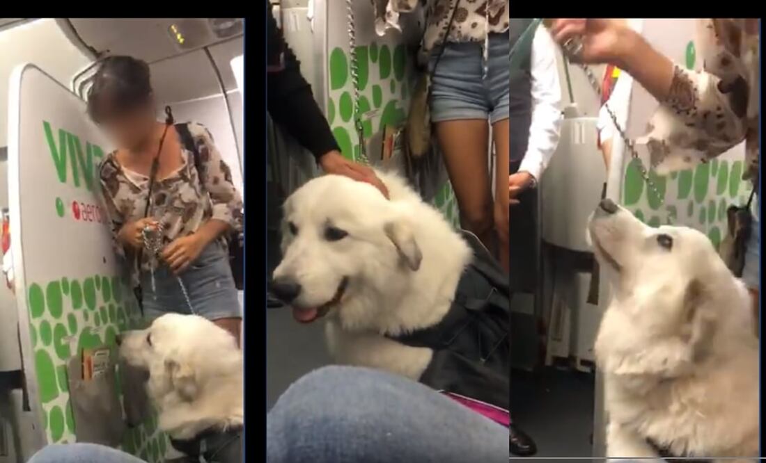 Foto: Captura de pantalla