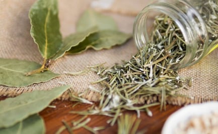 El remedio ancestral que mejora la memoria, según una experta de Harvard