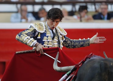 Morena propone prohibir entrada de menores a corridas de toros en la CDMX