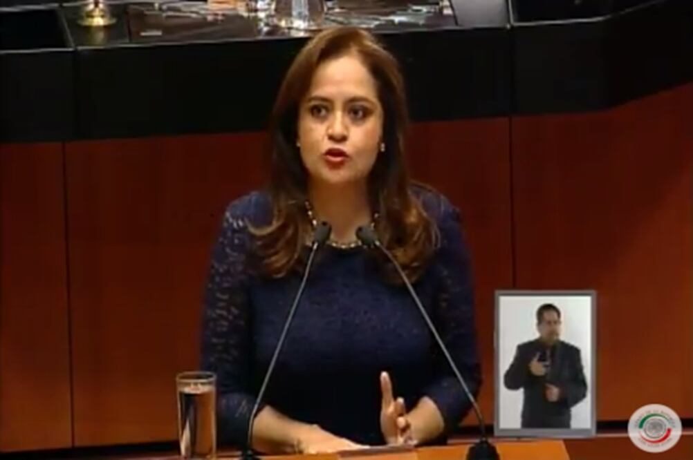 Senadora Ana Lilia Herrera. Foto: @senadomexicano
