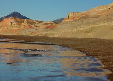 Una rana quedó atrapada en vómito de ave hace 60 millones de años