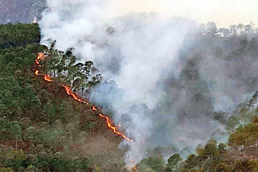 La Conafor dijo que el incendio provocado por una quema de basura afectó 580 hectáreas (ARCHIVO EL UNIVERSAL)
