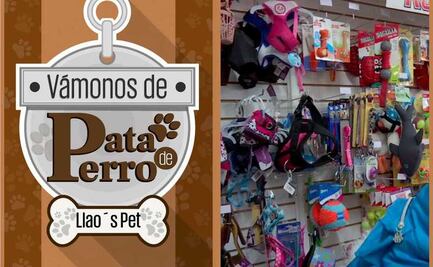 ¡Vámonos de Pata de Perro! Consiente a tu mascota