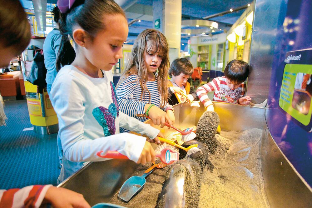 Trivia. Grupo ADO te invita al Papalote Museo del Niño