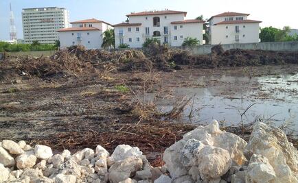 Malecón Tajamar cumple con todas las de la ley: AMPI-Cancún