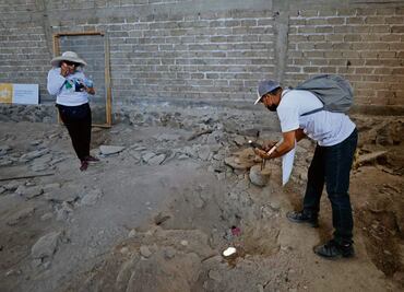 Crisis de desapariciones carece de una estrategia: AI