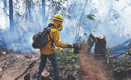 Alerta máxima por incendios en 10 municipios
