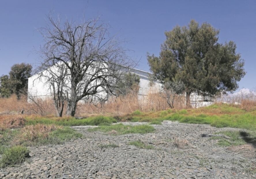 Empresas y Gobierno esquivan multas de Conagua que suman 738 mdp; IMSS y Pemex, entre los infractores