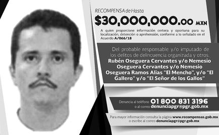 Mexico offers USD$1.6 million for information on drug lord Nemesio Oseguera
