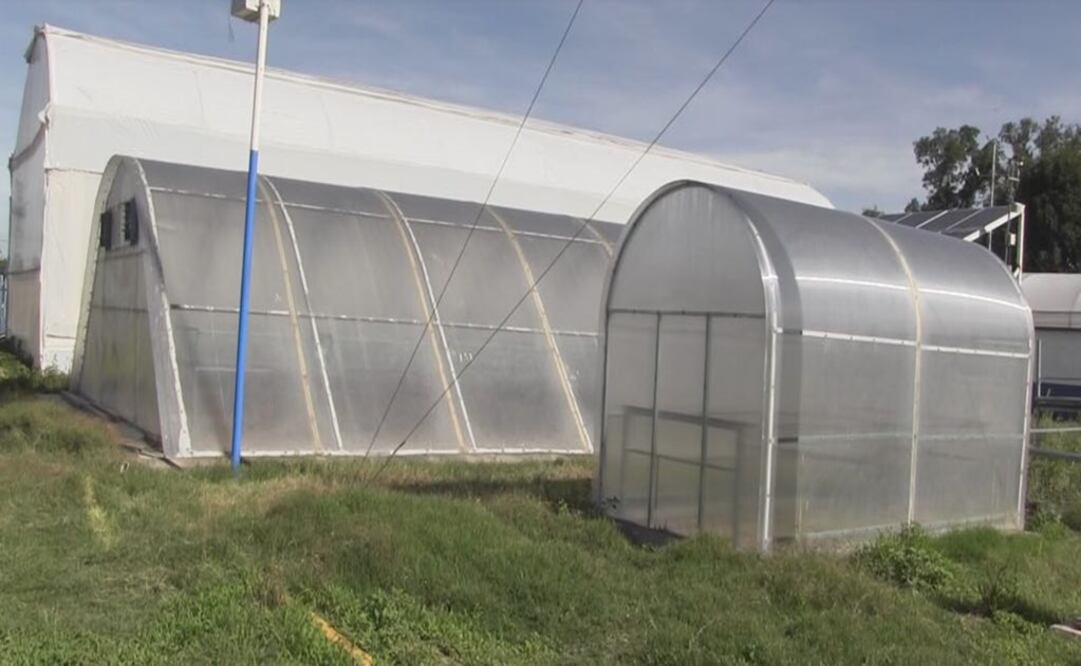 La universidad de Chapingo (Foto: Especial)