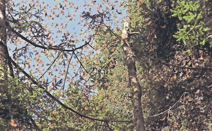 Descubre 5 maravillas naturales en el Estado de México 