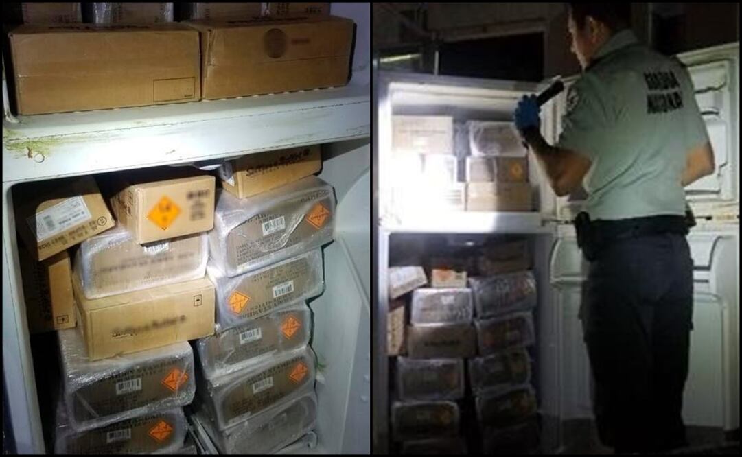 Fotos: Guardia Nacional