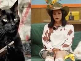 La Granja VIP: cuarta noche de traición deja ola de memes en redes