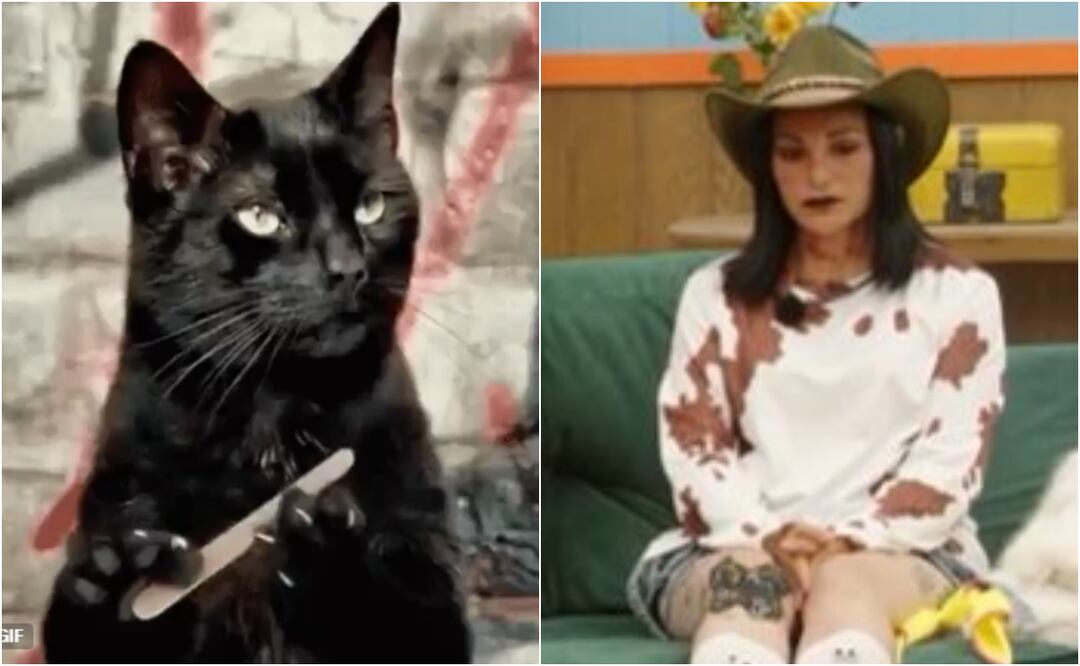 La cuarta noche de traición a manos de Eleazar Gómez en La Granja VIP dejó una ola de memes en redes sociales. Foto: X