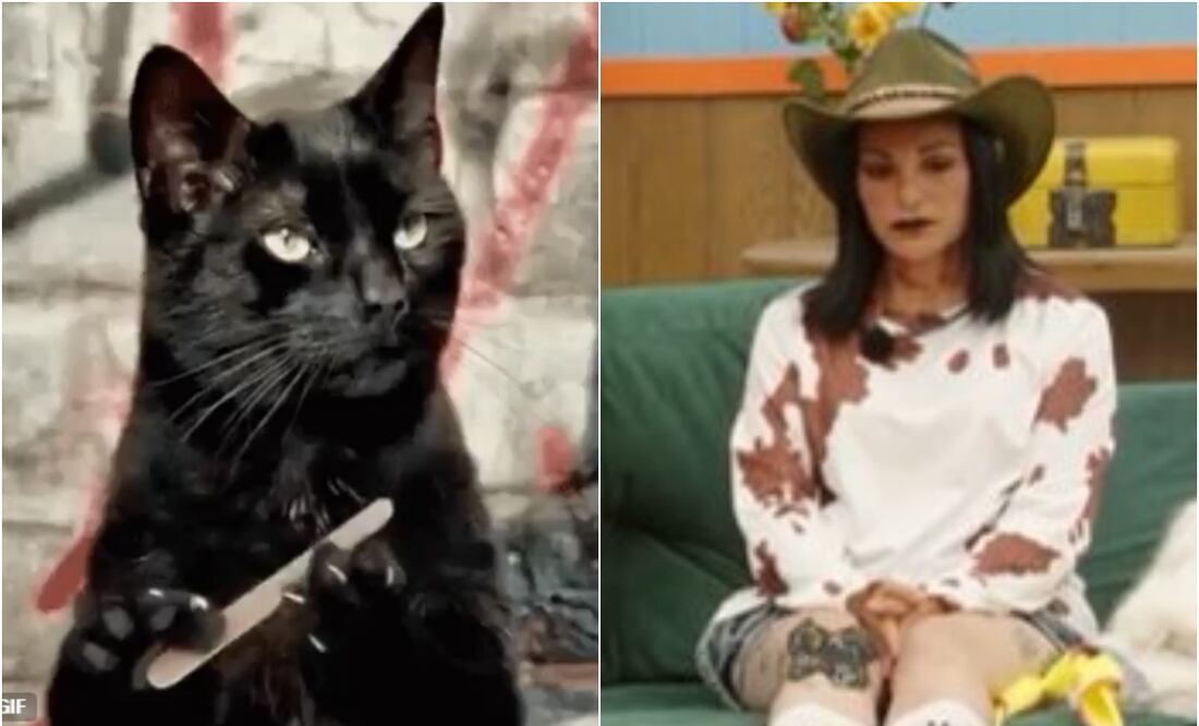 La cuarta noche de traición a manos de Eleazar Gómez en La Granja VIP dejó una ola de memes en redes sociales. Foto: X