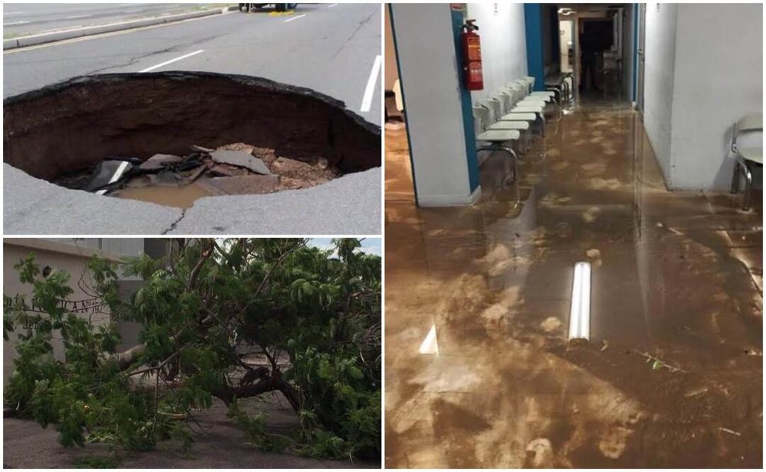 Foto: Amalia Escobar y Especial