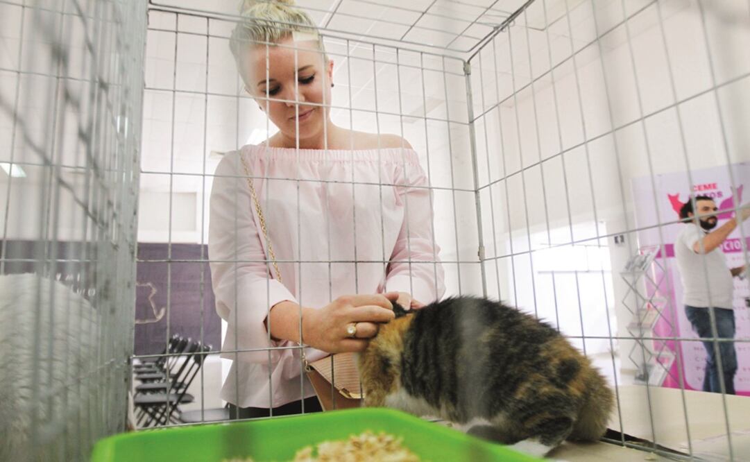 Foto: Archivo / EL UNIVERSAL 