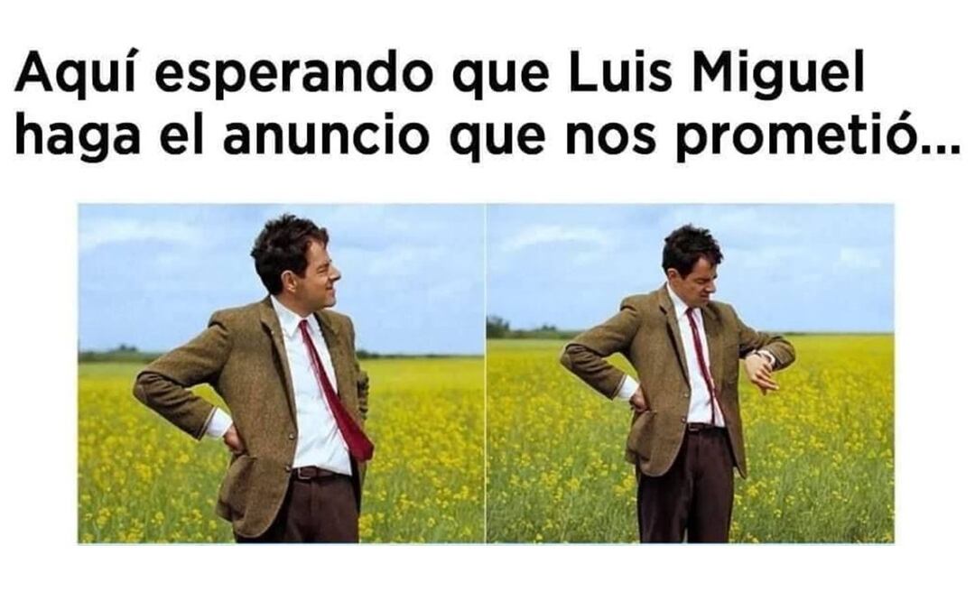 Meme espera Luis Miguel