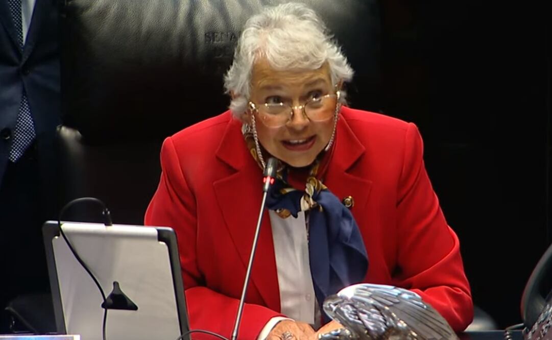 Olga Sánchez Cordero informó de la dispensa de la primera y segunda lectura al dictamen. Foto: Captura de pantalla