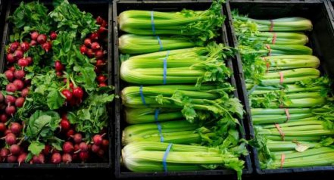 Beber jugo de apio, nueva tendencia nutricional