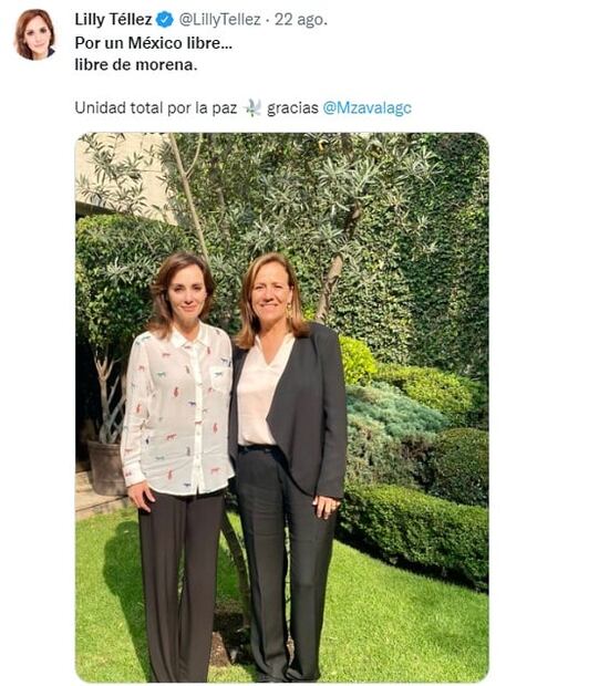 Ellos son los “precandidatos” de la lista de AMLO que sí quieren llegar a la Presidencia