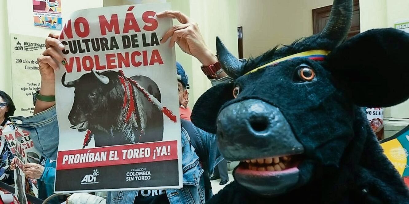 Colombia estaba en la lista de ocho países que permitían las corridas de toros como una actividad legal, junto a España, Portugal, Francia, Ecuador, México, Perú y Venezuela, pero ahora pasa a la de los que prohíben la tauromaquia.