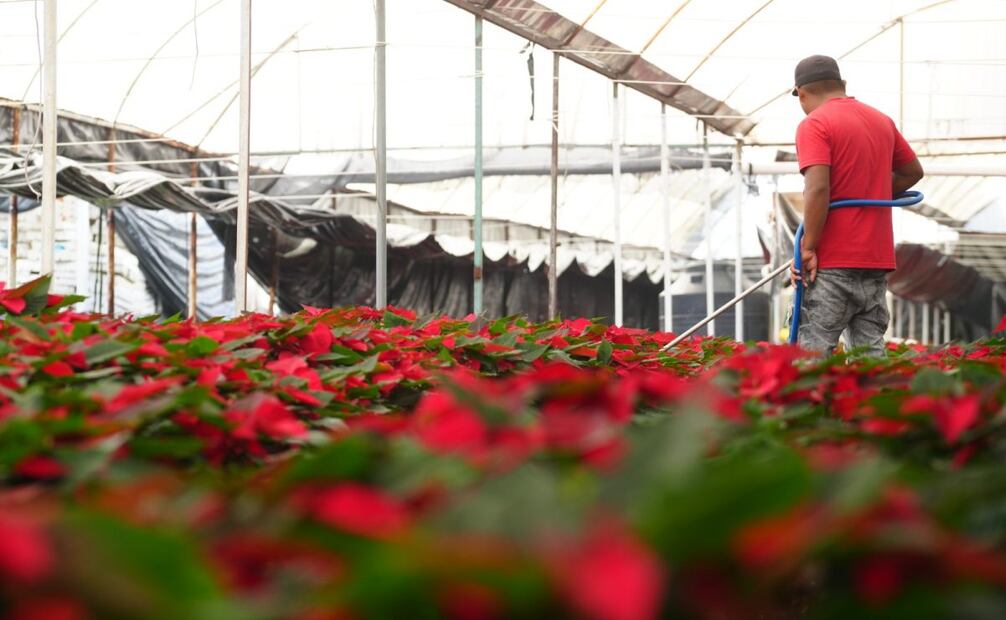 Julia Álvarez Icaza destacó que la producción local proviene principalmente de los núcleos agrícolas de Xochimilco y Tláhuac.
Foto: Especial.