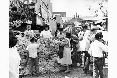 La flor que acompaña a nuestros muertos
