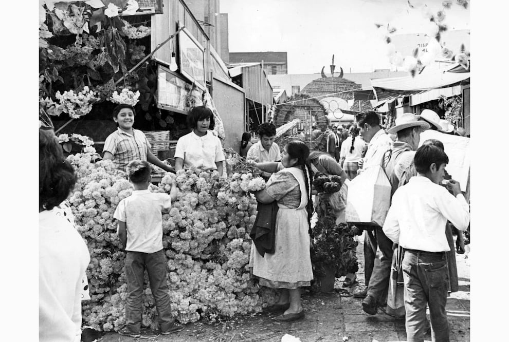 La flor que acompaña a nuestros muertos
