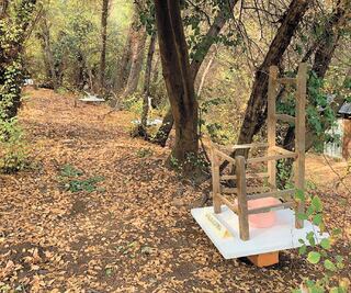 En 360°, la antiobra de Nicanor Parra