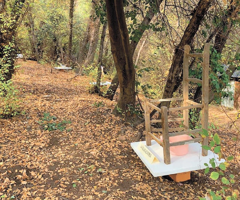 En el recorrido virtual, el espectador podrá admirar obras y objetos del matemático e intelectual Nicanor Parra, en el bosque de la casa-museo. Fotos: CORTESÍA FUNDACIÓN NICANOR PARRA