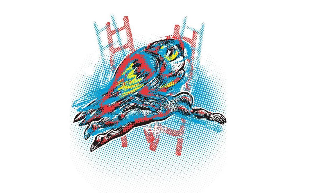 La Guacamaya que sacudirá al Palacio