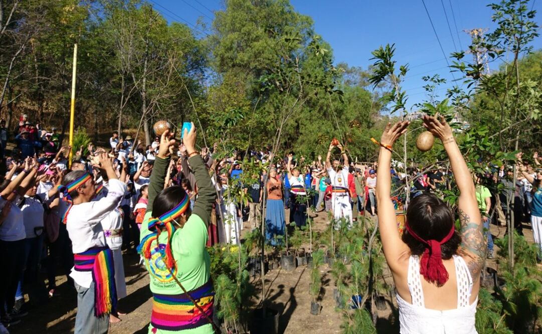 Fotografía: @GobNau