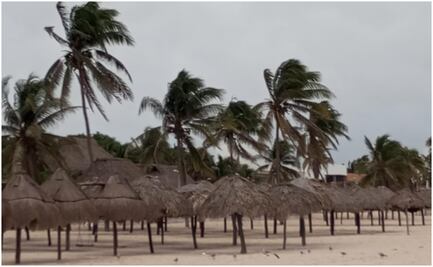 ¡Toma tus precauciones! Aerolíneas cancelan vuelos por paso del huracán Milton; aquí te decimos cuáles