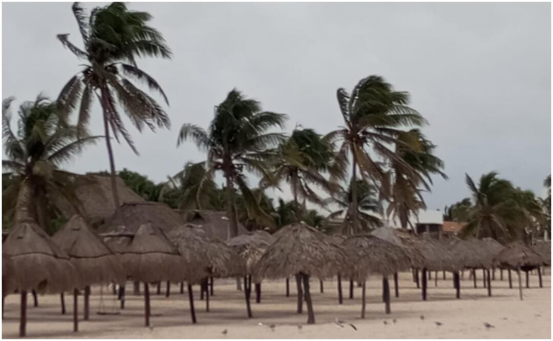 Ante esta situación, los gobiernos de Estados Unidos y México han exhortado a la población a tomar refugios temporales, además de que las aerolíneas han cancelado o cambiado sus itinerarios para salvaguardar la vida de los pasajeros y trabajadores. Foto: Archivo/El Universal